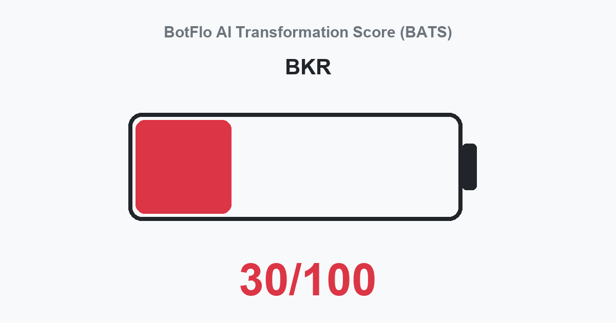 BKR BATS 30/100