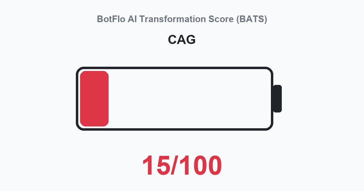 CAG BATS 15/100