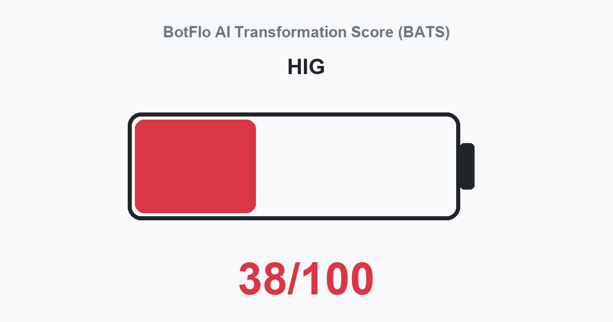 HIG BATS 38/100